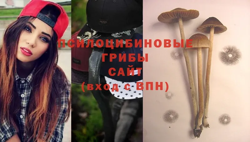 даркнет сайт  Волчанск  Псилоцибиновые грибы MAGIC MUSHROOMS 