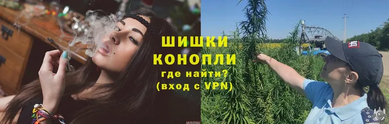 Бошки Шишки сатива  Волчанск 